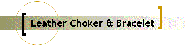 Leather Choker & Bracelet