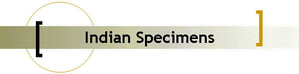 Indian Specimens